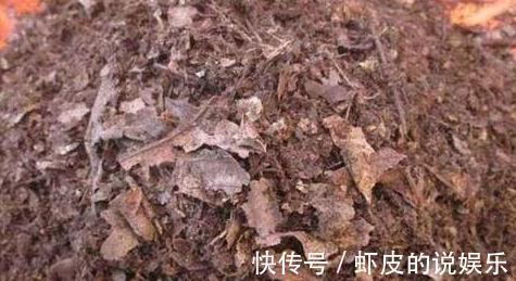 花盆里换下来的土能用吗,怎么正确再利用