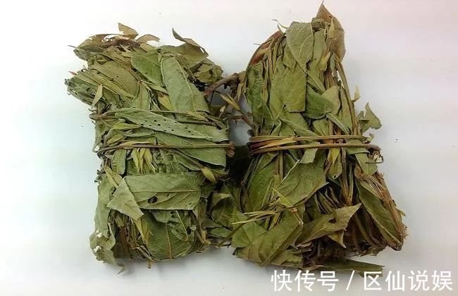 妊娠呕吐|一种仙茶,风湿痛、荨麻疹、肝硬化,均可治