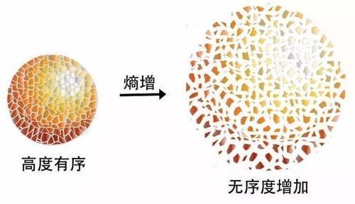 鲁道夫·克劳修斯 一个让人感到绝望的物理定律,科学家:宁愿不知道它存在
