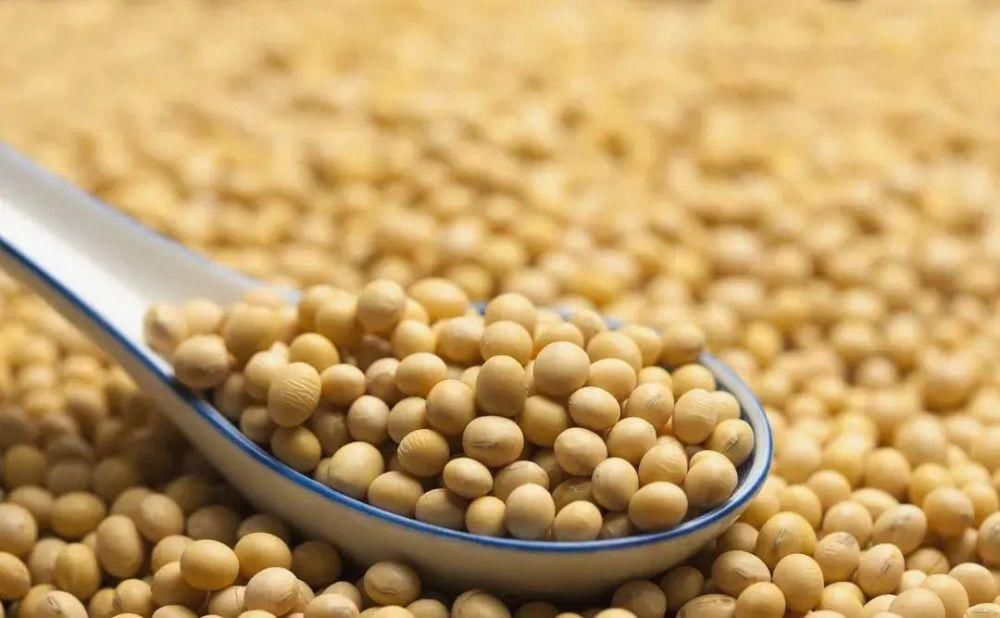 想讓皮膚時刻保持完美狀態(tài)？建議大家多吃這幾種食物！