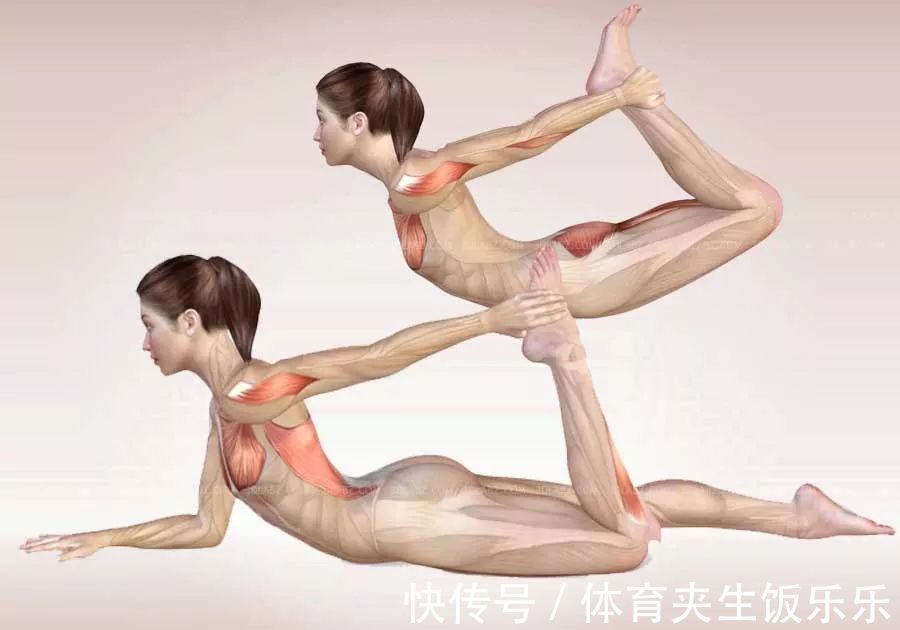 鞋带式|“身体越硬人越老”?!你需要瑜伽拉伸一下……