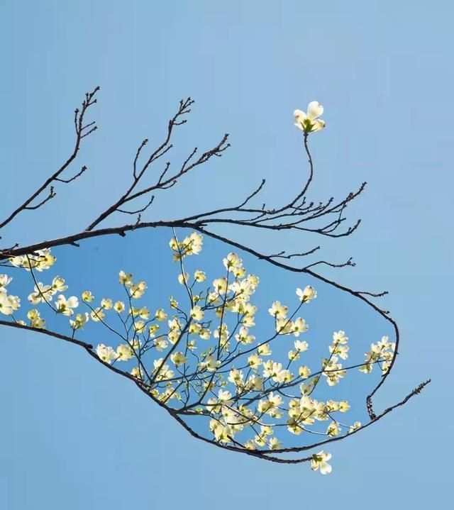 声色@当你对生活失望时,不妨多读读10句话