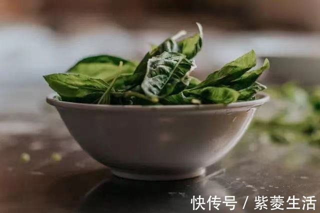 祛皱|藏在身边的“天然护肤品”,黑发、祛皱、美白……少花钱也能养出好皮肤