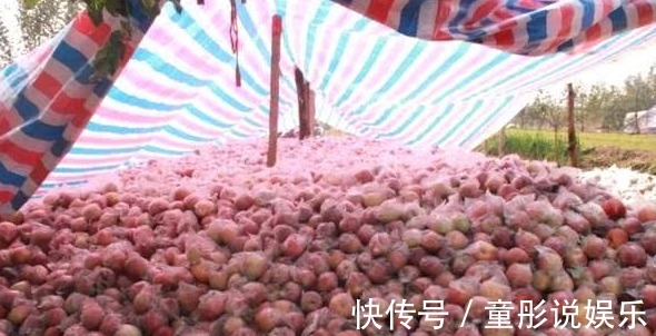 苹果|南方贵到吃不起，北方泛滥不值钱，营养丰富人称“活水”！