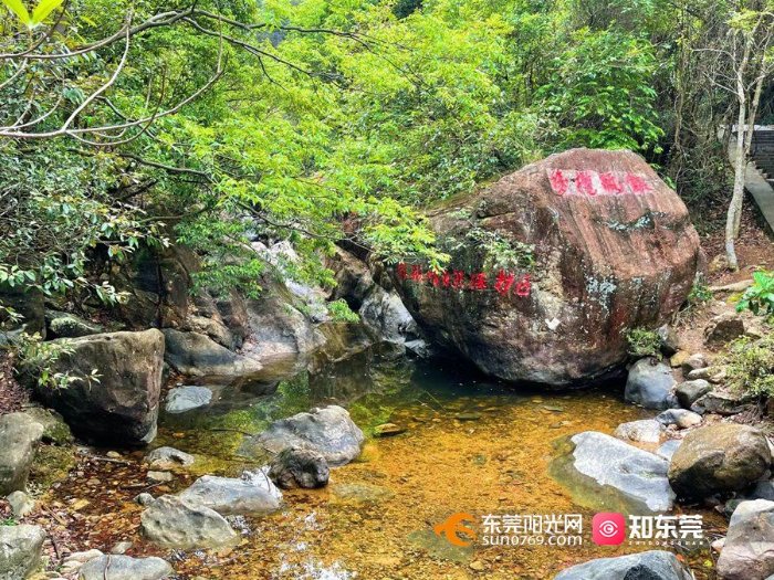 禾雀花|夏日登游银瓶山 畅享大自然“森”呼吸