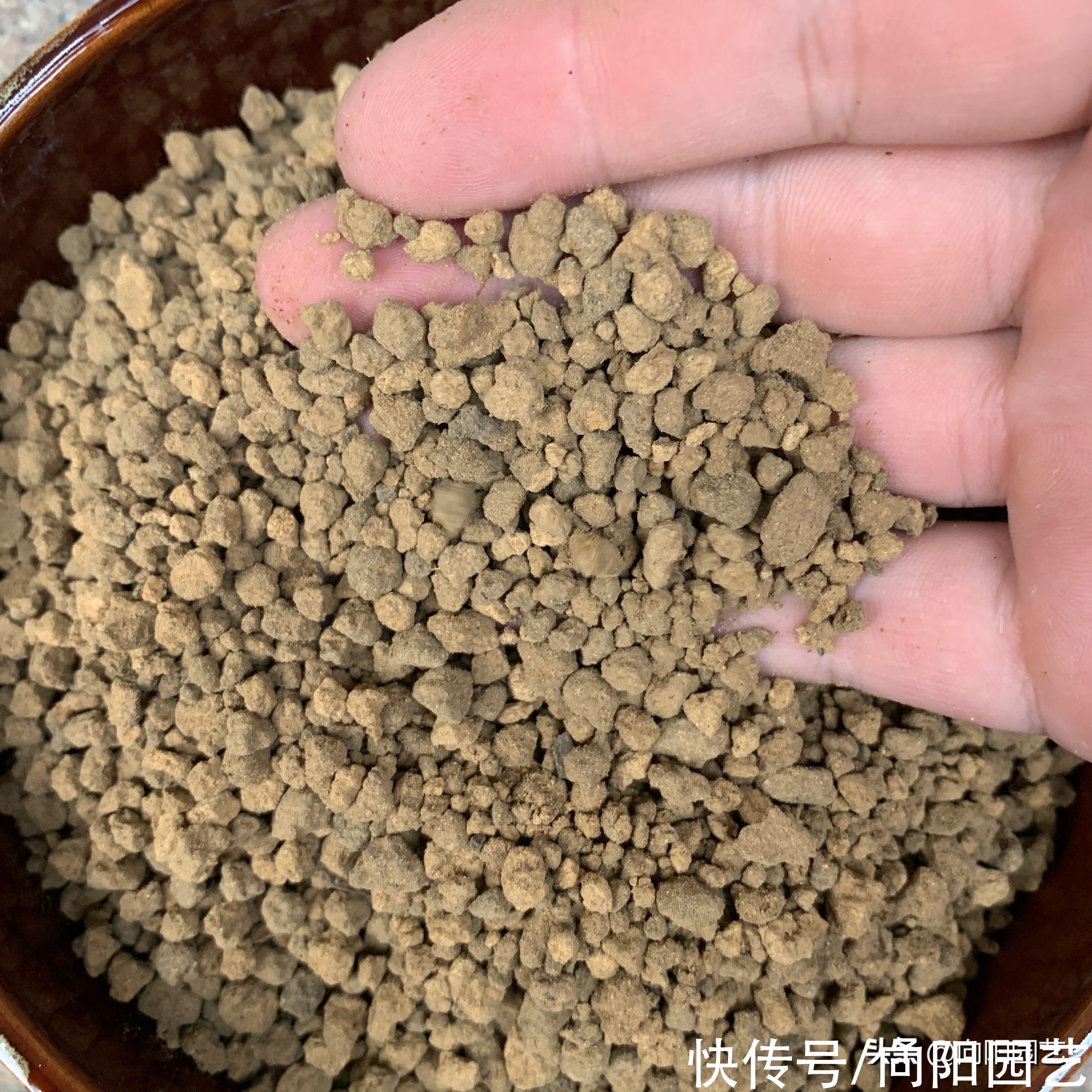 初次接触多肉，花土花盆不要乱买，按照清单买，能省很多钱