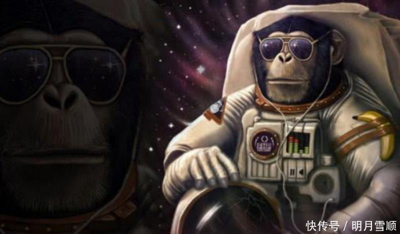 还记得50年前,被人类送上太空的猴子吗现怎么样了