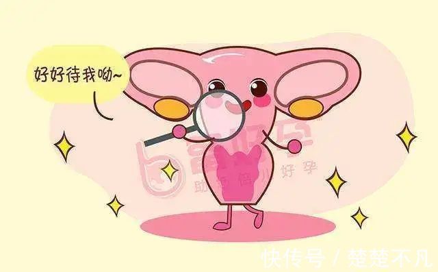 盆腔积液|5分钟教你看懂妇科体检报告单!有些病可能是唬人的“纸老虎”!