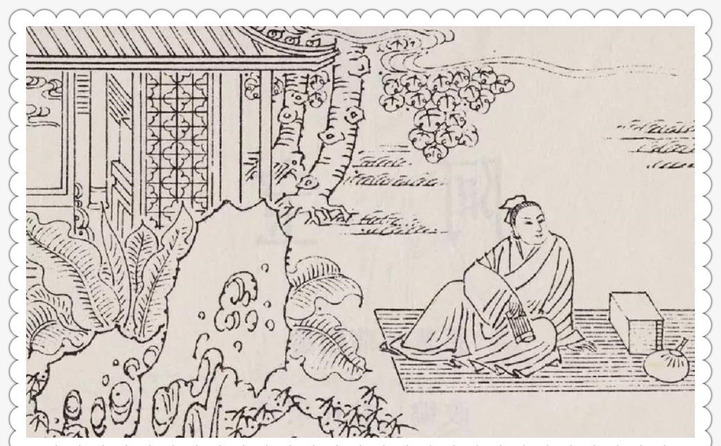 新聊斋:书生树下熟睡,被一群小人抬走,入宫做3年皇帝后逃走