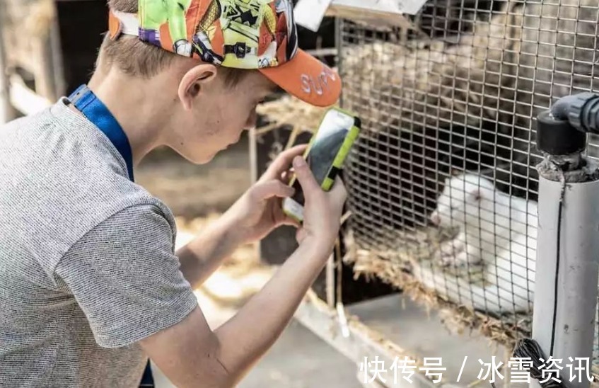 养殖户|曾一件过万也不缺客户,现降价甩卖却无人问津,行业面临危机