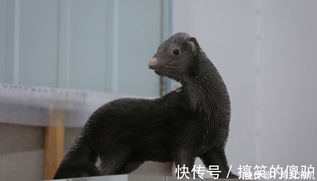 奇闻|奇闻：老师用一千万根缝衣针创作，成品活灵活现，展出时让人感动