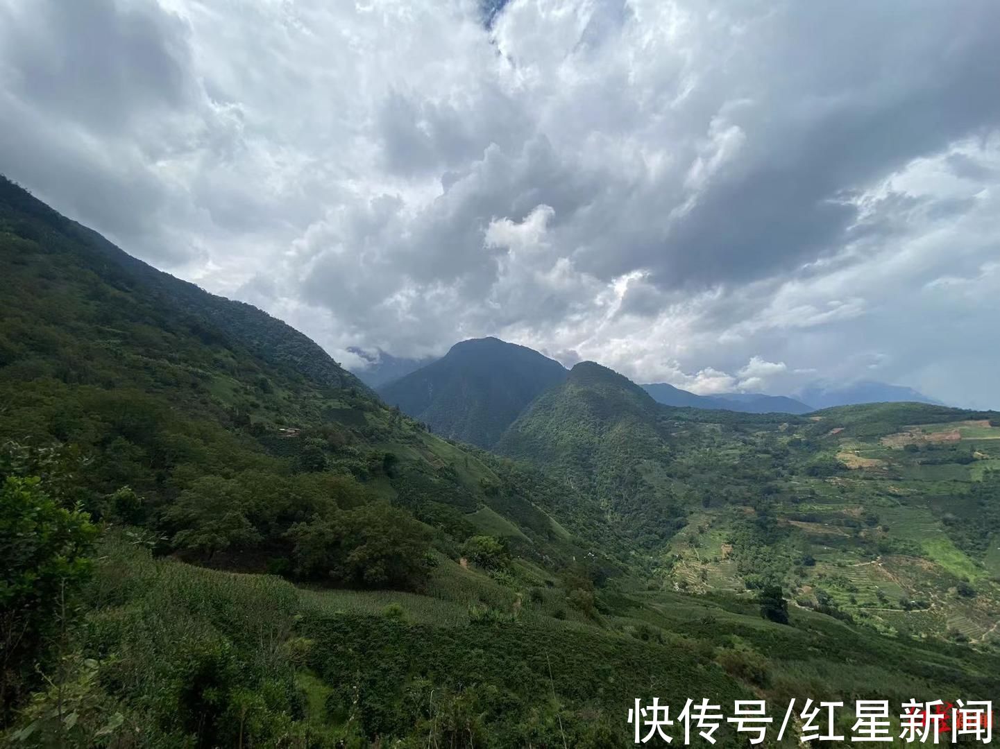 高黎贡山|COP15人物篇｜蔡芝洪：从“打山”到“护山”，这辈子守到我爬不动为止