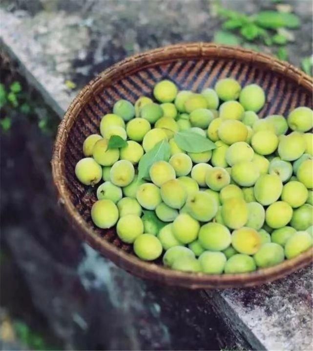 就地过年也精彩 舌尖上的剑川年味！