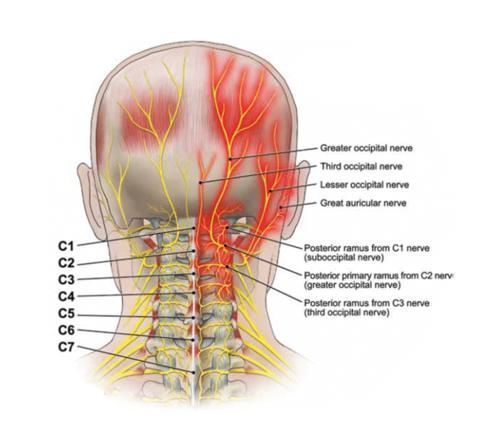筋膜|颈椎病、富贵包、头痛手麻,都因为这个姿势!如何预防?