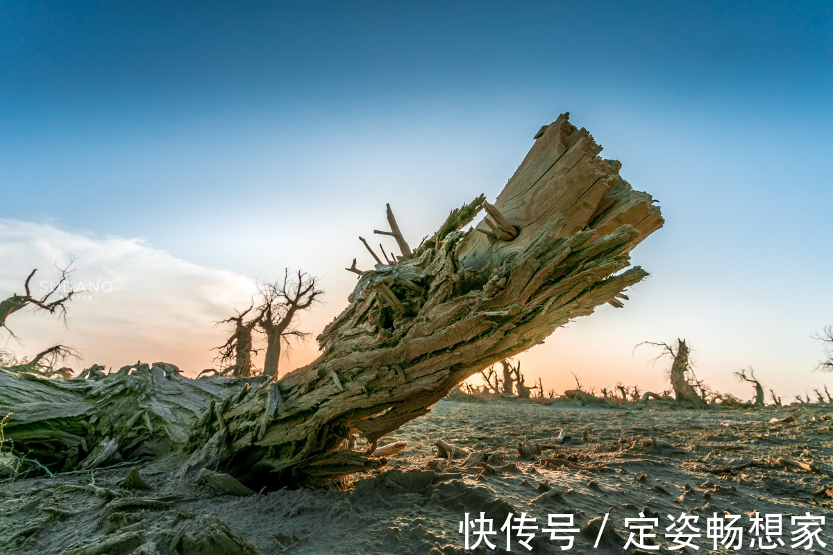 沙漠|神秘的塔克拉玛干沙漠，藏有“生命禁区”，却吸引无数探险者