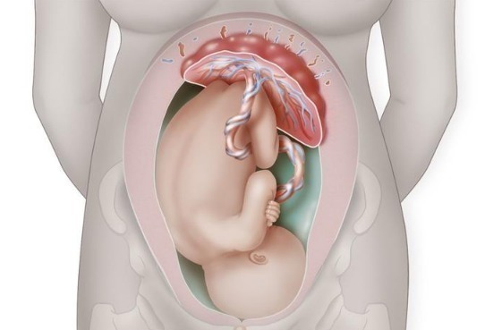 妊娠|剖腹产为何要在孕38周而不是40周别看只差两周,差距不是一点点