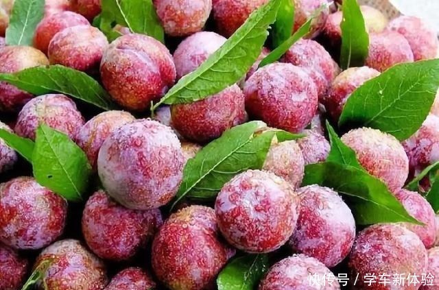 白砂糖|这东西才卖5元一斤,比打玻尿酸强,隔三差五吃,皮肤红润且细嫩