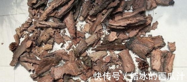 养杜鹃花,家中常备这2种水溶液,保管盆栽叶子绿、开花旺