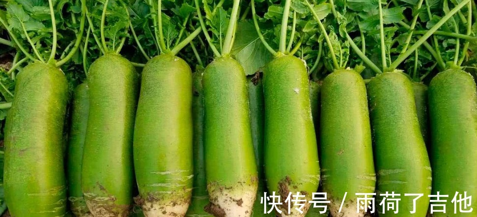 温开水|寒露前后,吃“3宝”喝“3水”,滋补身体好处多,冬天不怕冷!