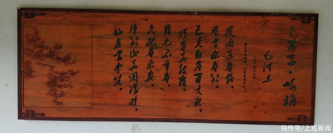 错过|快来一起赏“梅”景！去年没约成，今年别错过啦