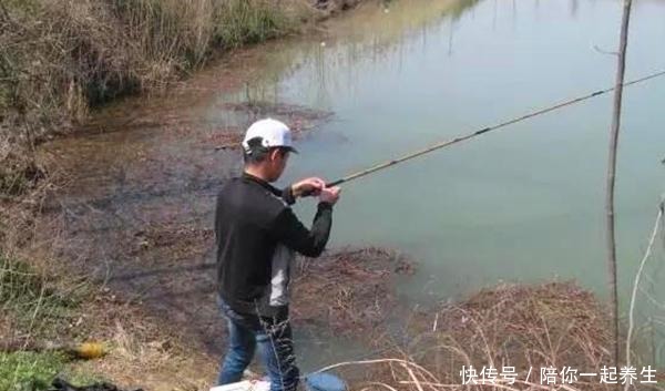 核心|冬季钓鱼困难多,核心技巧就两个,牢记这两招,天冷也不会走空!