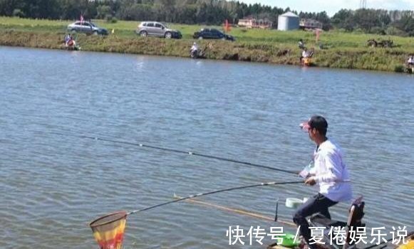 垂钓|八月钓鲤鱼用上这几招才过瘾,不管在哪钓,半天就爆护