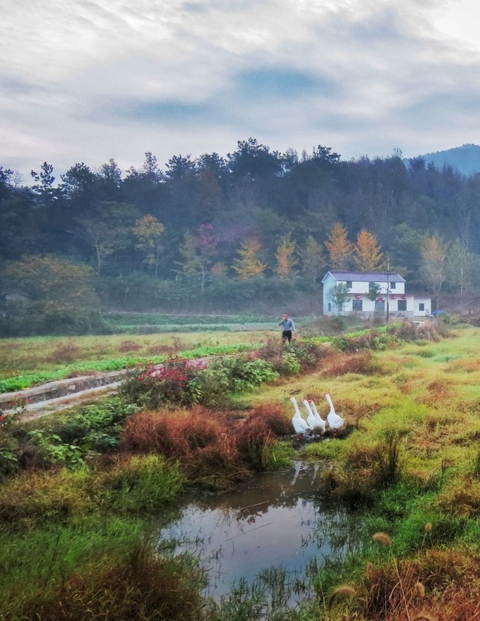  写生|写生巨石山