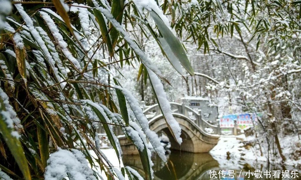 美如画|冬日崇信，动人雪景美如画