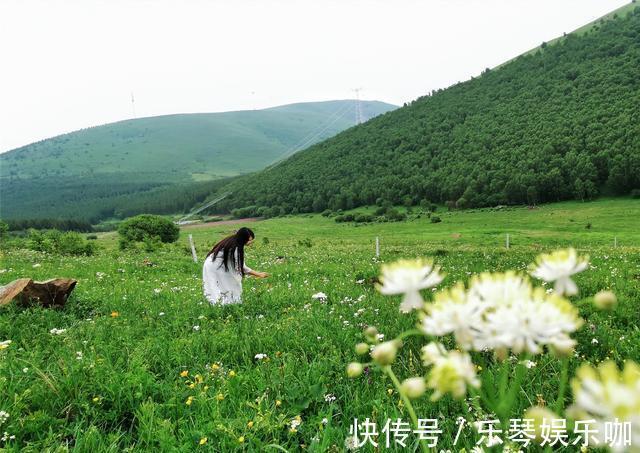 马儿|中国避暑的首选目的地，自驾爱好者的天堂，一路风景如画