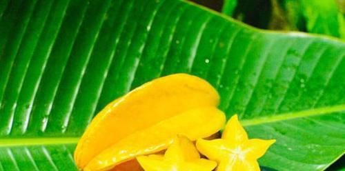 女性中年养生，建议吃的食物，补充营养，消除色斑，肌肤白里透红