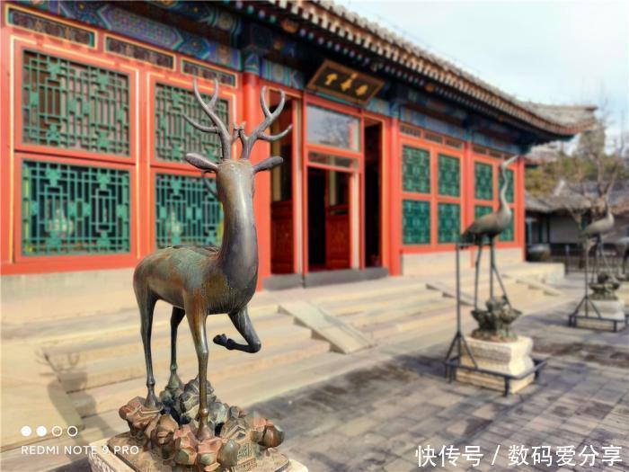 样照|Redmi Note 9 Pro上手:一亿像素好不好?看看样照就知道