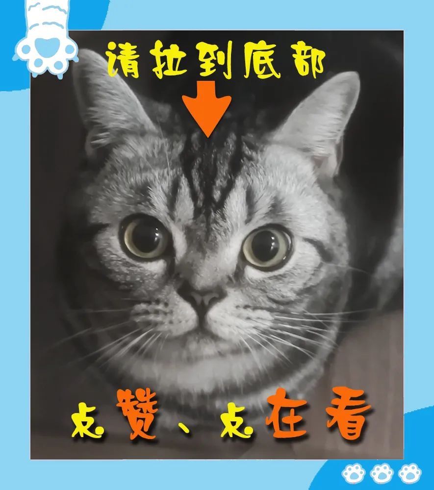 食物残渣|【口腔科普】在嘴里“咕噜噜”就能清洁牙齿?今天教您如何使用它!