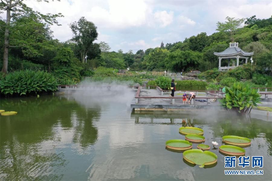 萌娃|神奇！“水中大力士”可以坐萌娃