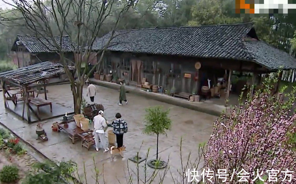 黄磊|《向往》蘑菇屋厕所首曝光！装饰豪华设施齐全，与木板房反差极大