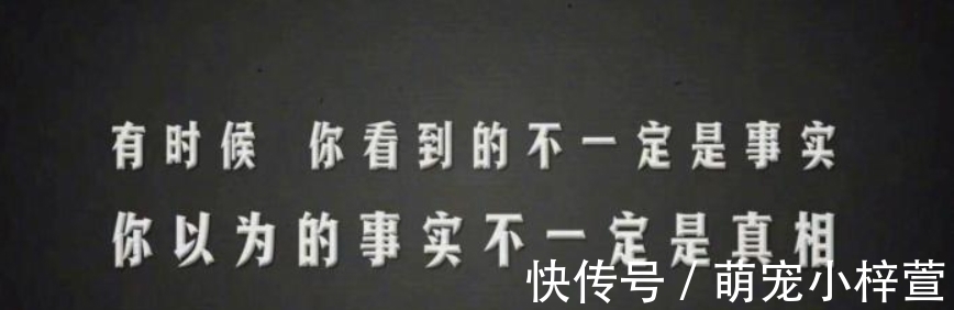 题目|《奔跑吧》连续压中两道2020年高考作文题,网友:跑男押题大神