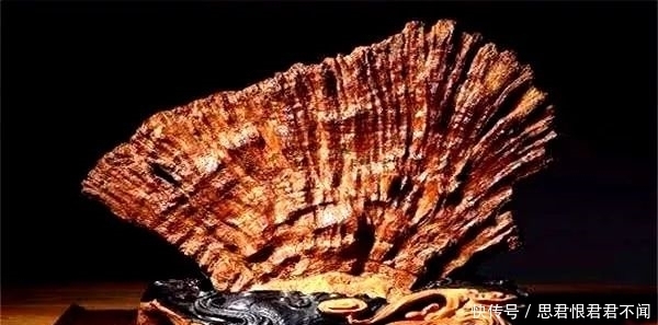 隋炀帝随手赏给日本一块木头,现在出1亿美金都没卖