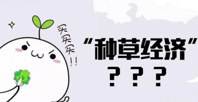 重拳|重拳打击虚假营销，让“种草”回归初衷