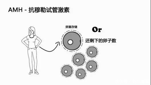 AMH值低可以怀孕吗？