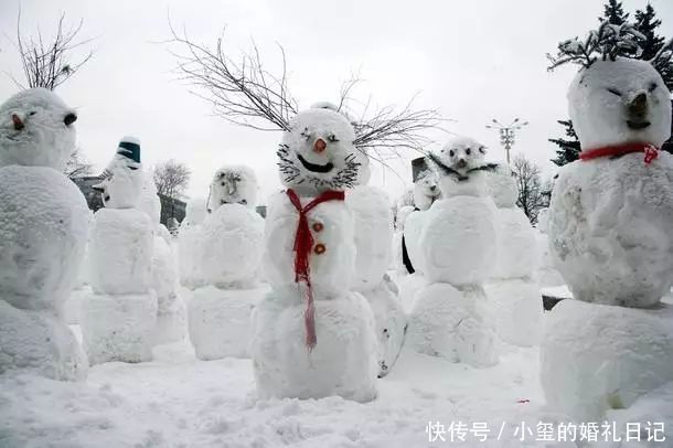  大雪|大雪丨大雪至，寒冬始