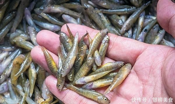 河里这种“虎皮纹”小鱼,煮汤比鲫鱼鲜美,如今几乎绝迹
