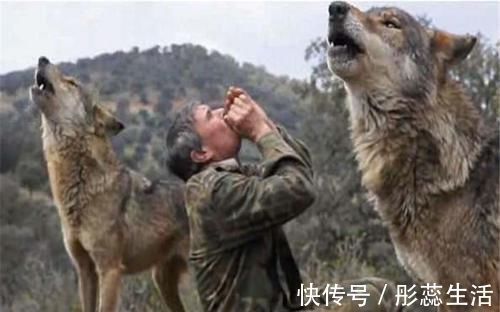 语言|如果不教婴儿说话，他们会形成语言吗？这些案例一目了然！