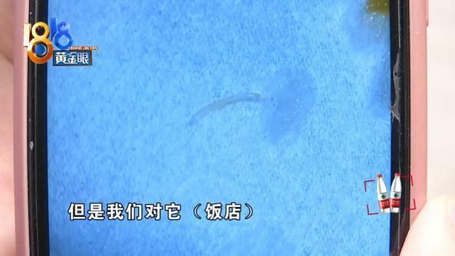 火锅|想索赔？没门！火锅里吃出“指甲”，服务员转手就扔掉销毁证据