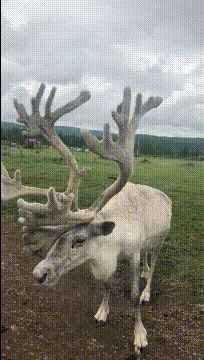 |搞笑GIF:看把人都喷成什么样子了,亲妈都认不出来了