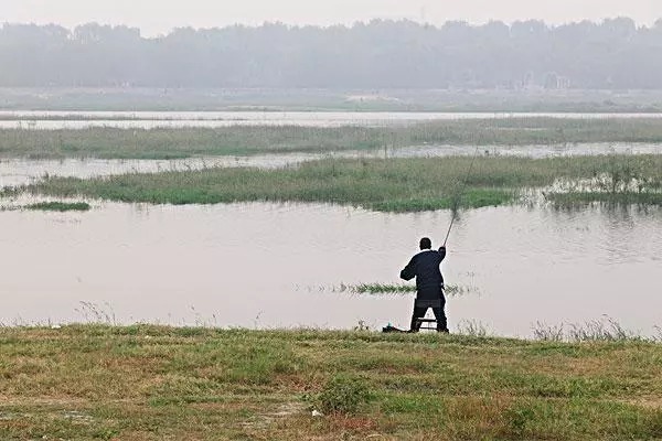 鲤鱼|教你如何识别鱼情!爆不爆护就看这项基本功了,钓鱼人必收藏