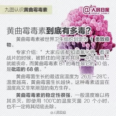 玉米|女子肺部长满真菌，竟因接触它