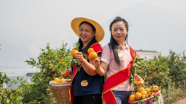 t01ce35379d3c2260e2.jpg?size=641x361