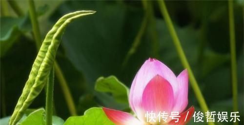 有色斑|冬天来了,多吃三种食物,补肝益肾,润肠乌发,想生病都难!