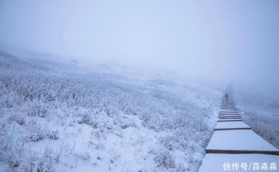 山下|十里风雪天涯路，秦岭雪乡留下吧，紫柏山下是我家