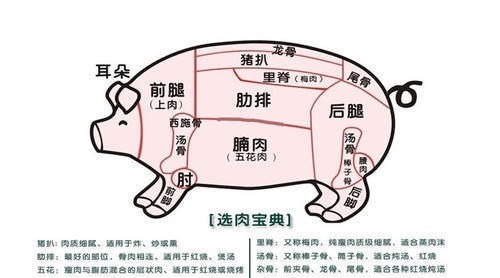 买排骨,要分清“小排”和“大排”,差距还挺大,看完不会再买错