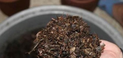 花友们|养花不会换盆,没经验就记住这些方法,换一盆旺一盆,零损伤